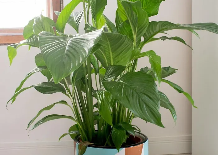 דירה Stylowe 3city W Centrum Sopotu By Renters